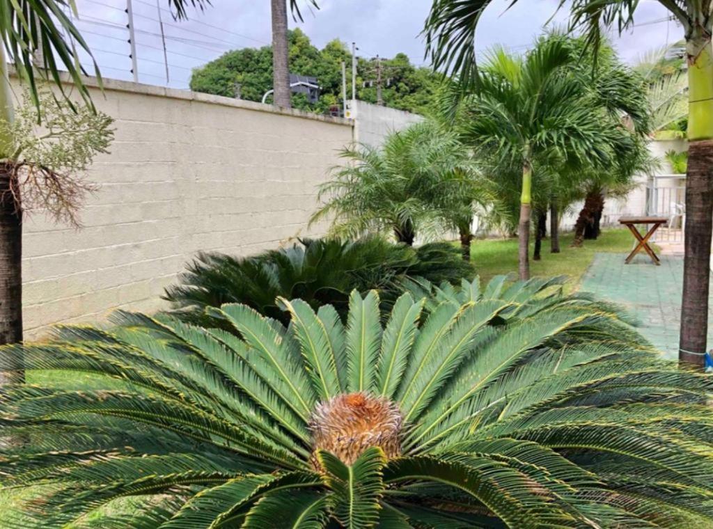 Apt2 Piscina Netflix Wifi Ar Cond Prox A 2 Shoppigns Fortaleza  Exterior foto